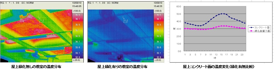 常緑キリンソウ袋方式による天井部の温度差と一日の温度変化のグラフ